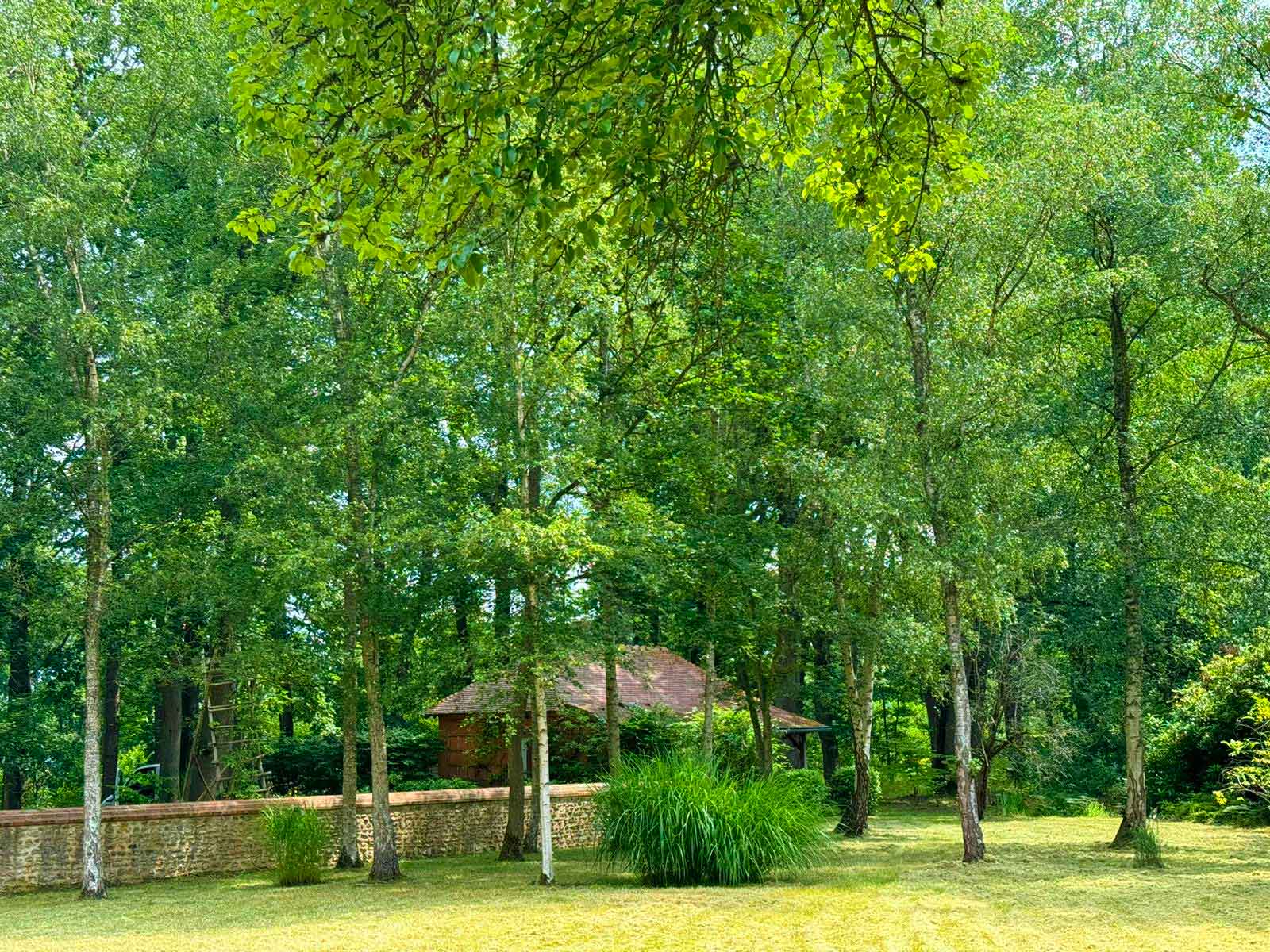 3-tonte-de-pelouse-jardin-domaine-Yvelines-DBH-Espaces-Verts