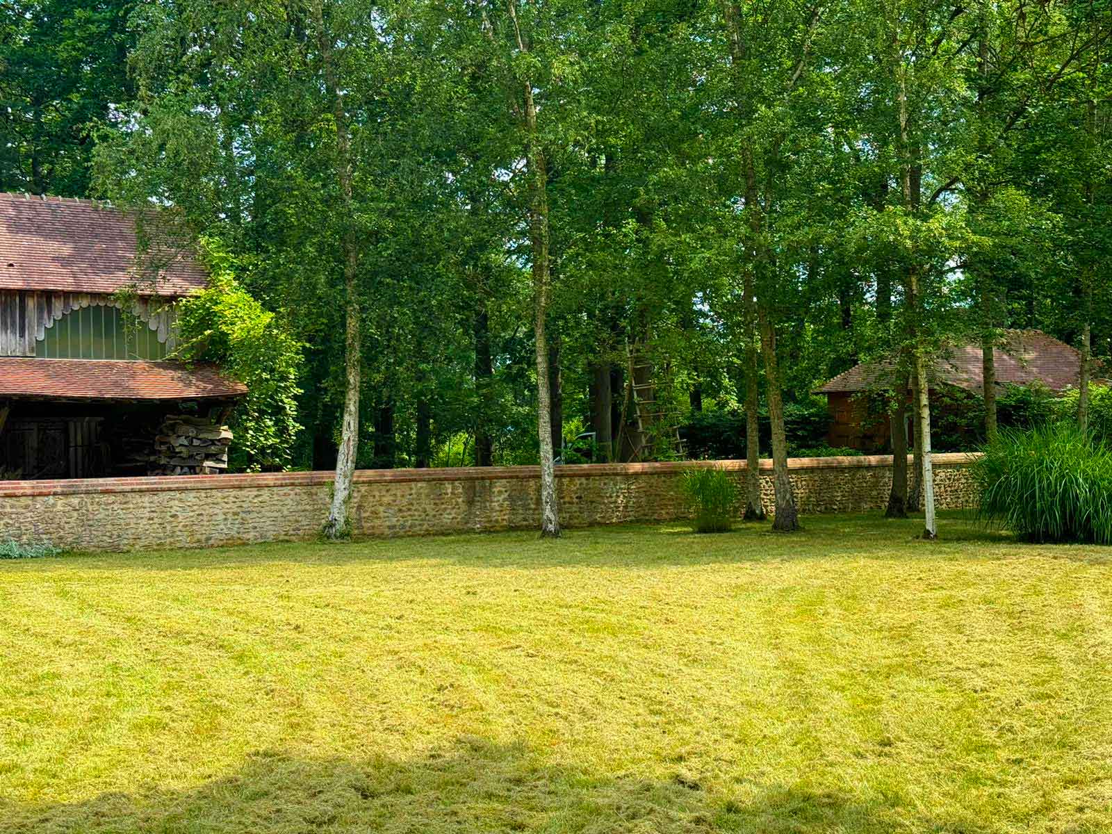 4-tonte-de-pelouse-parc-jardin-Yvelines-DBH-Espaces-Verts