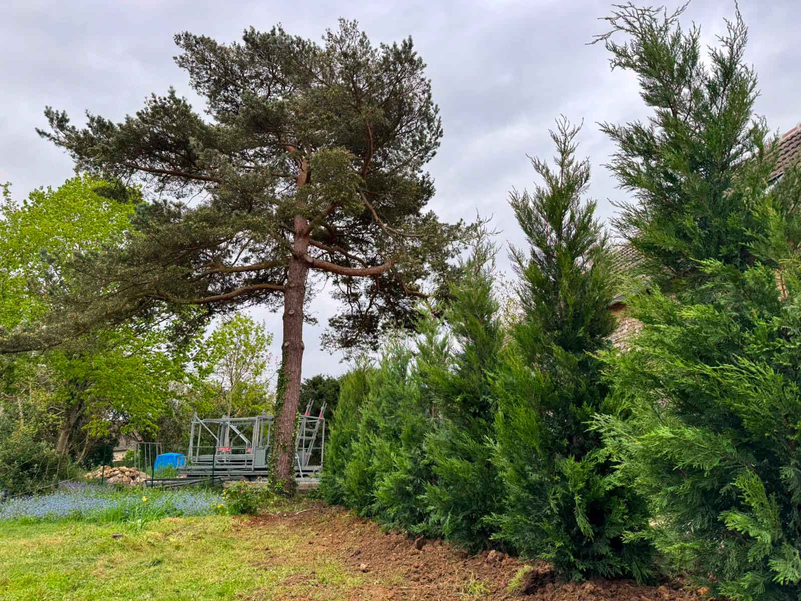 1-plantation-arbres-Yvelines-DBH-Espaces-Verts